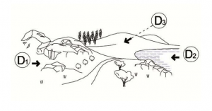 zona f rapporto elementi dominanti ambientali